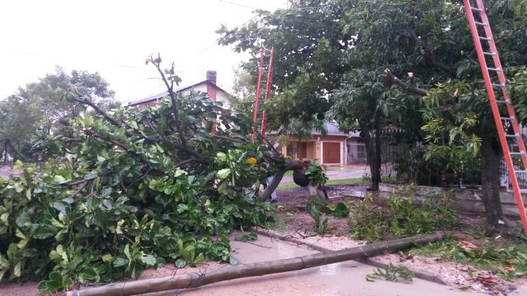 El temporal dejó destrozos en la ciudad. 