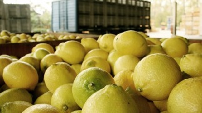 limones