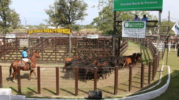 sociedad rural