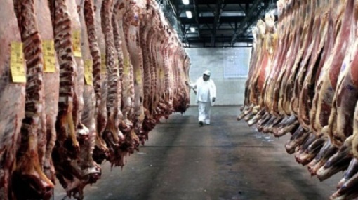 carnes