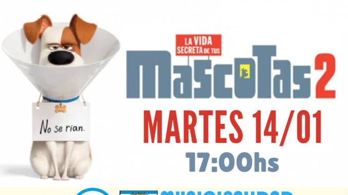 primicias 31