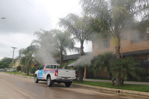 fumigaciones