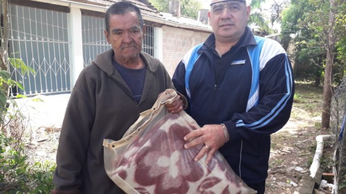 frazada leones