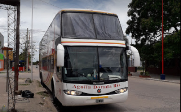 aguila dorada