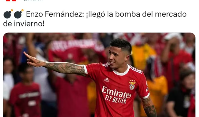 enzo fernandez