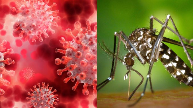 Covid-Dengue