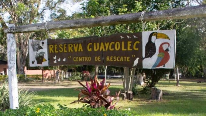reserva-guaycolec-3-1-compressed-e1744835193298-1068x614