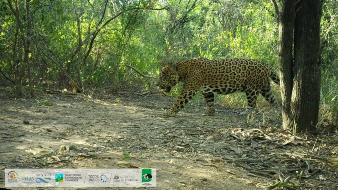 09-arriba-678x381