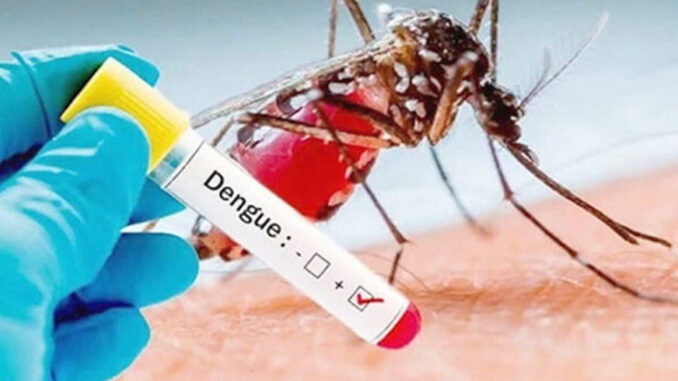 denguefsa-1
